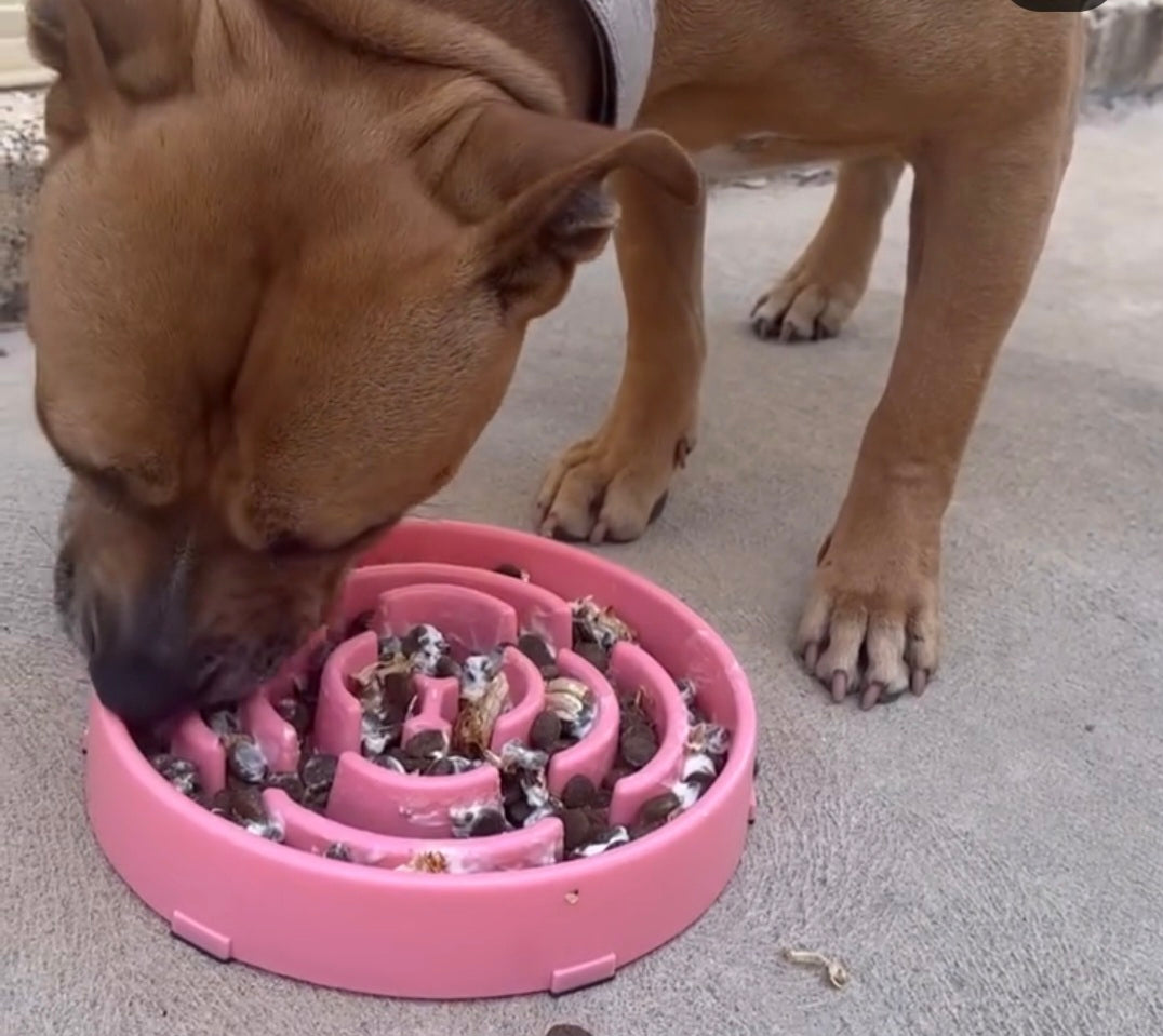 Bowls and Feeders