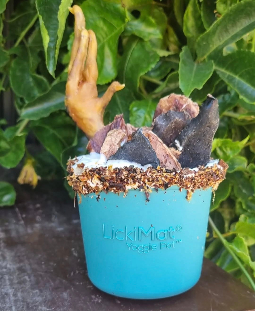 Lick Mats and Enrichment