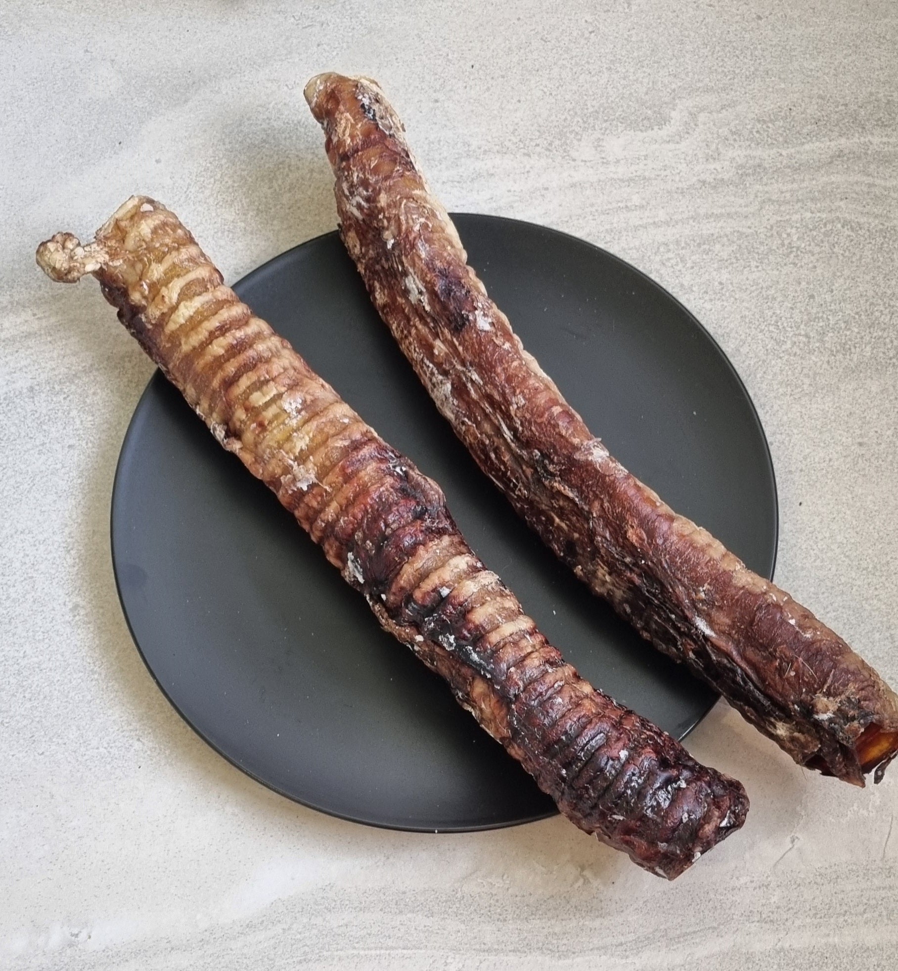 XL Moo Tubes