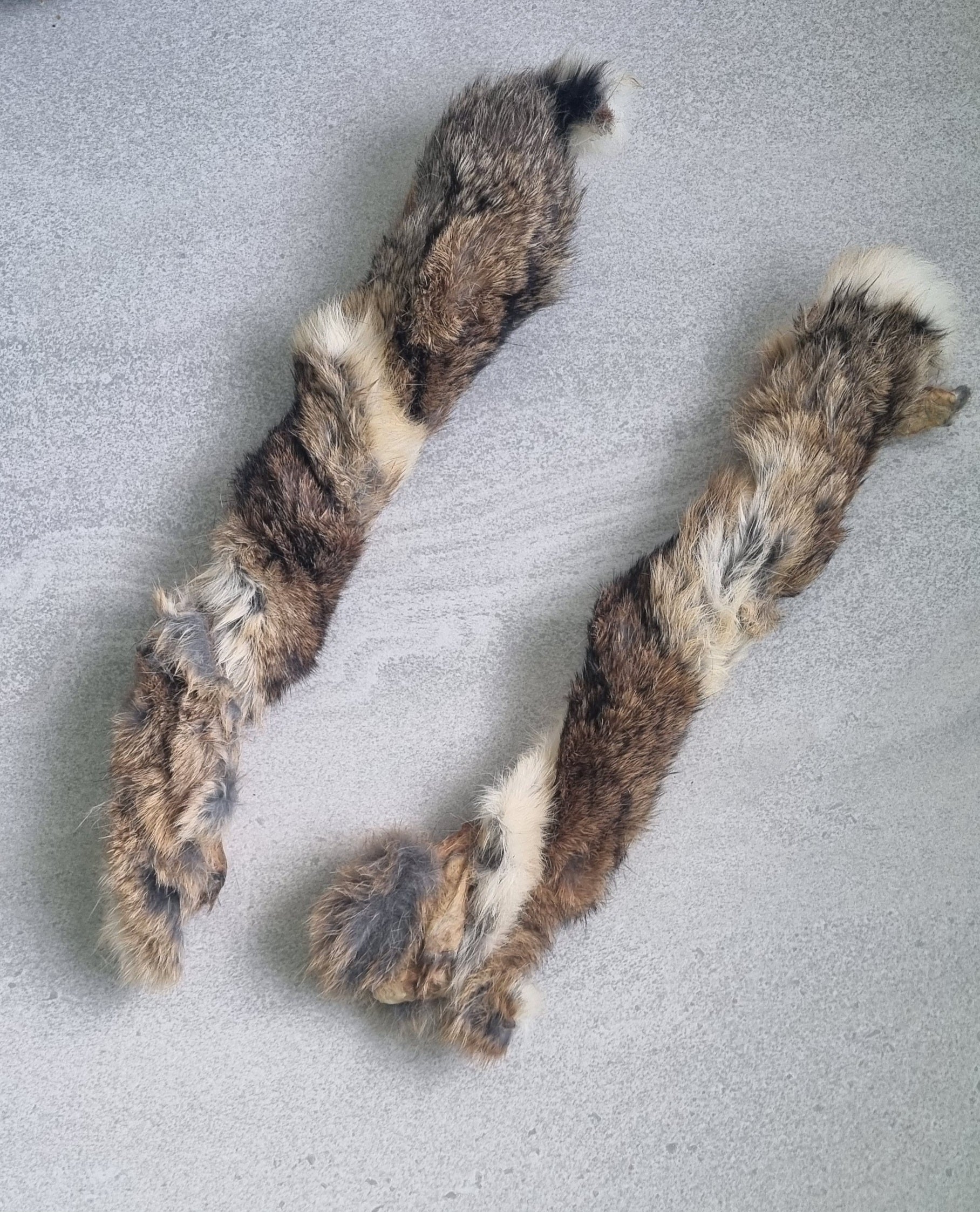 Furry Rabbit Twists