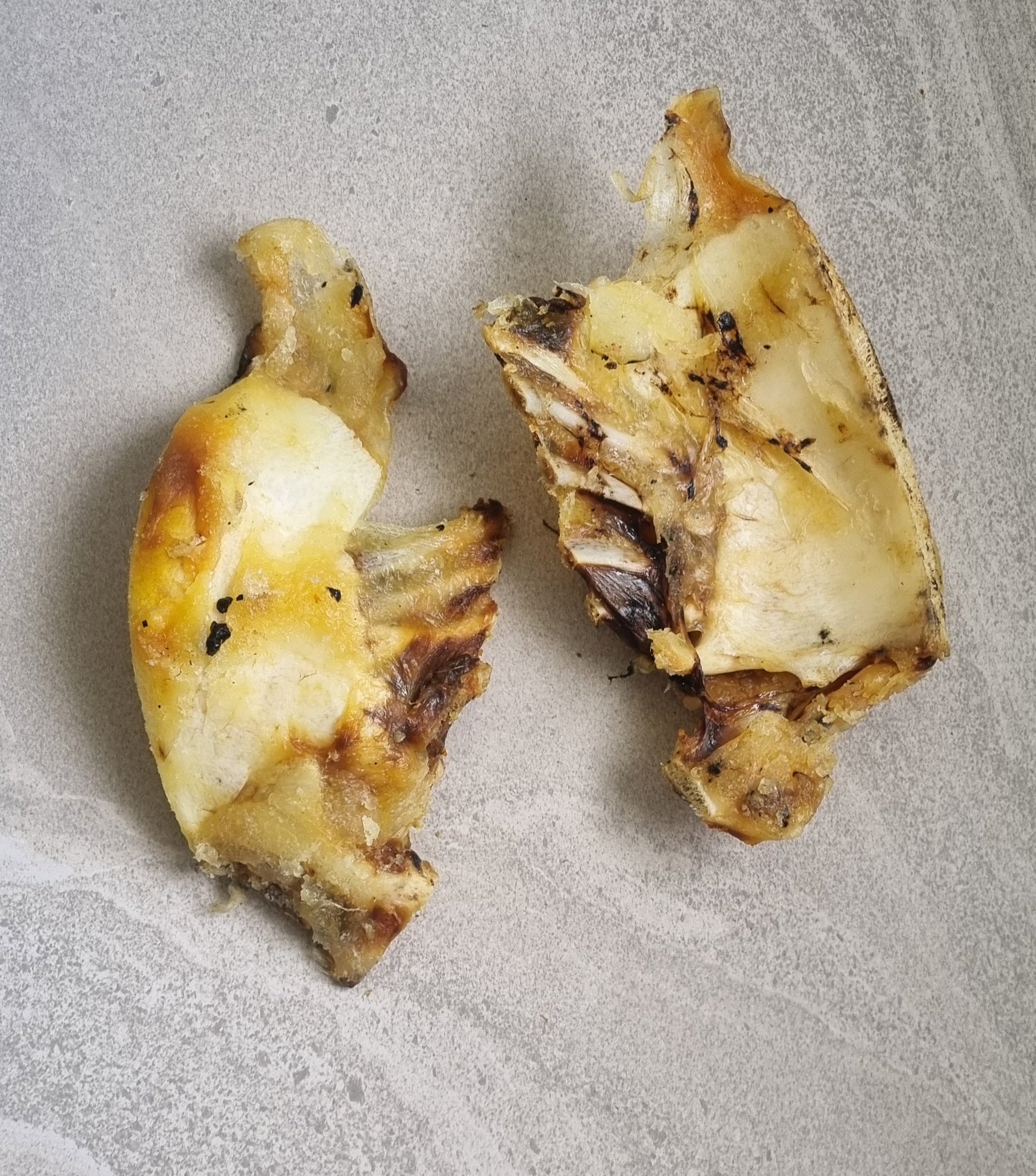 Emu Sternum