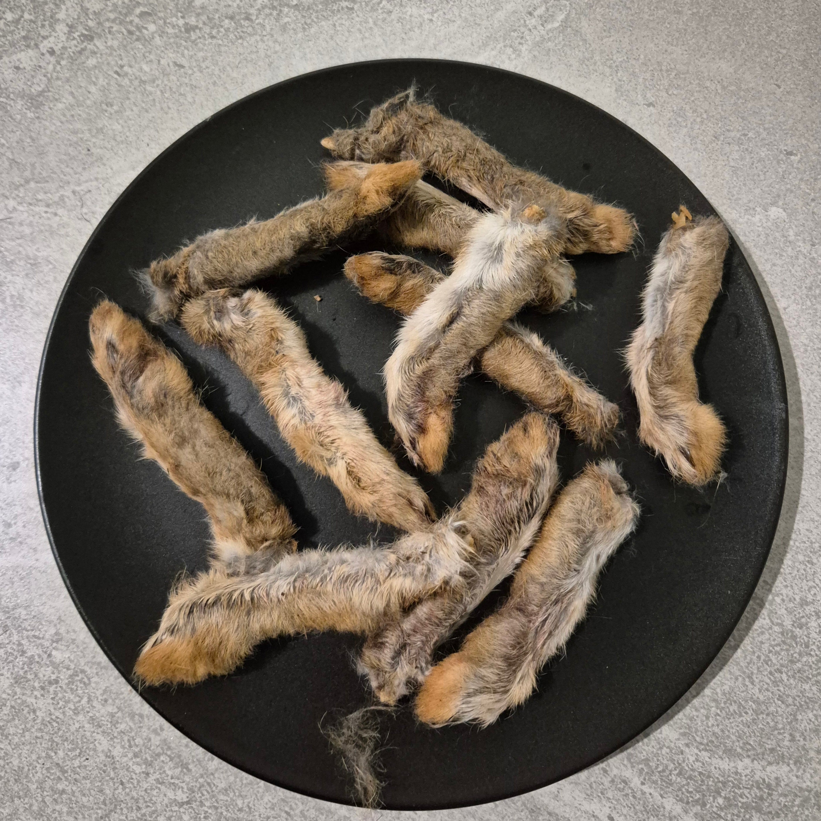 Rabbit Feet