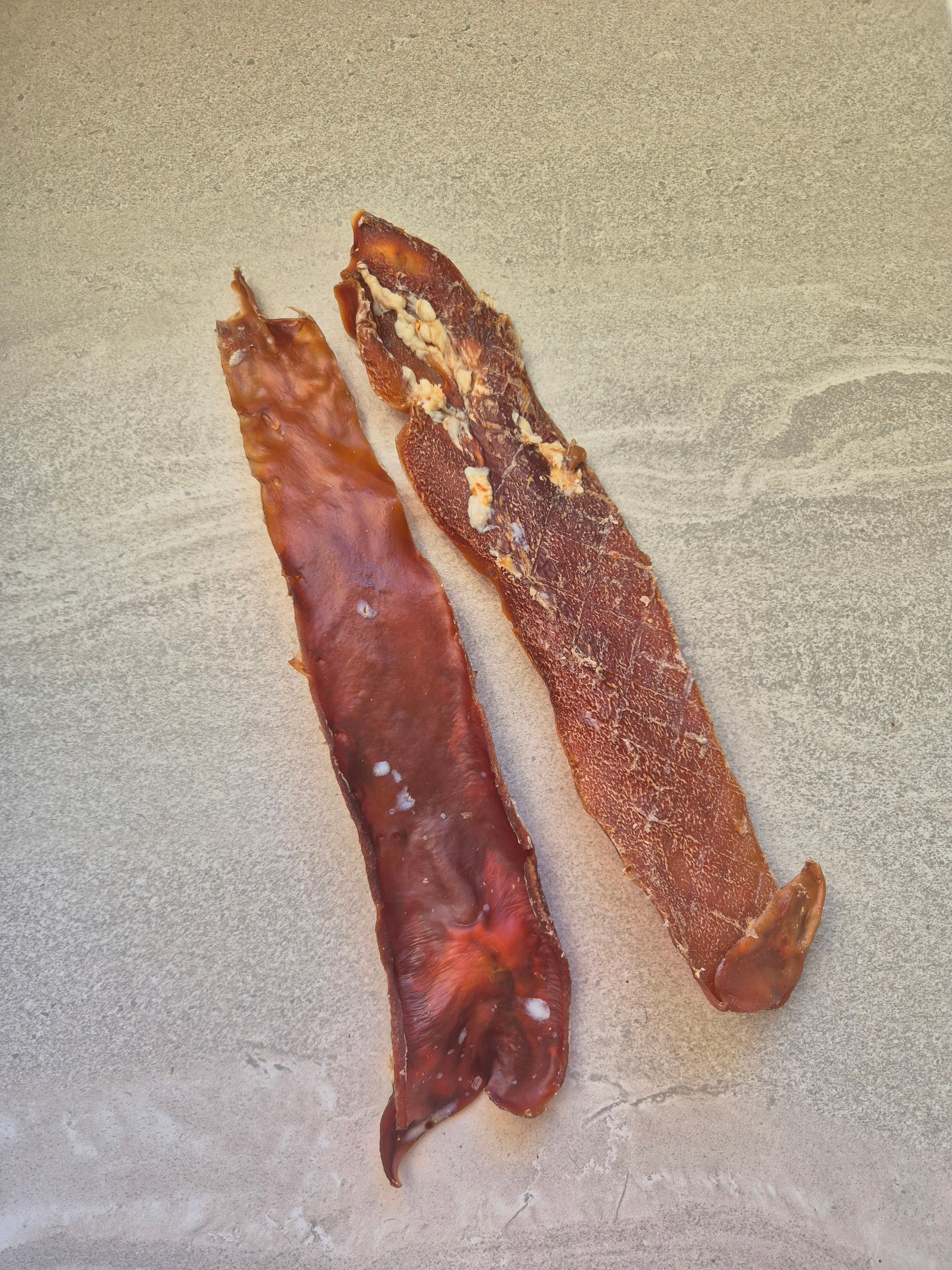 Beef Aorta