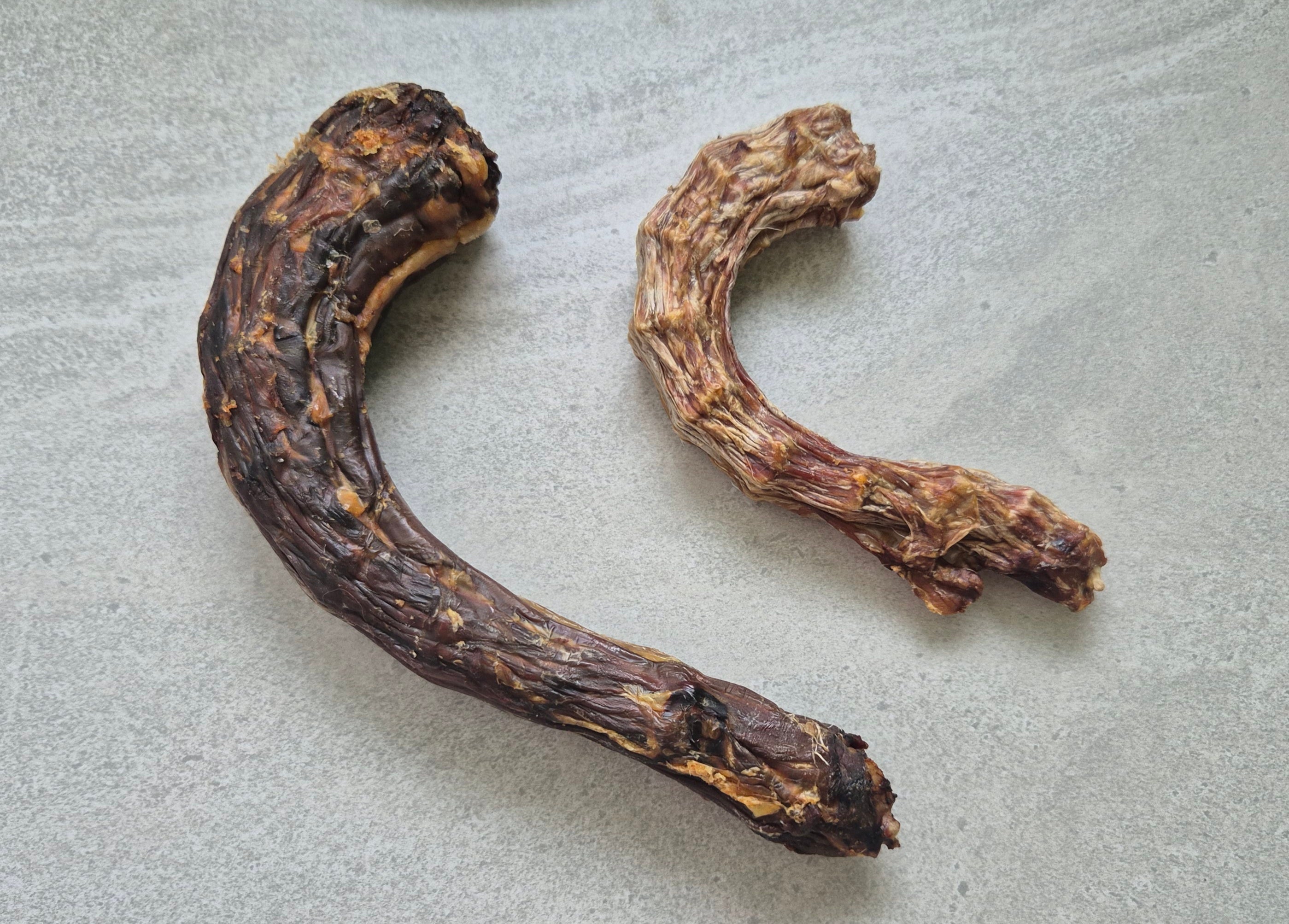Turkey Neck