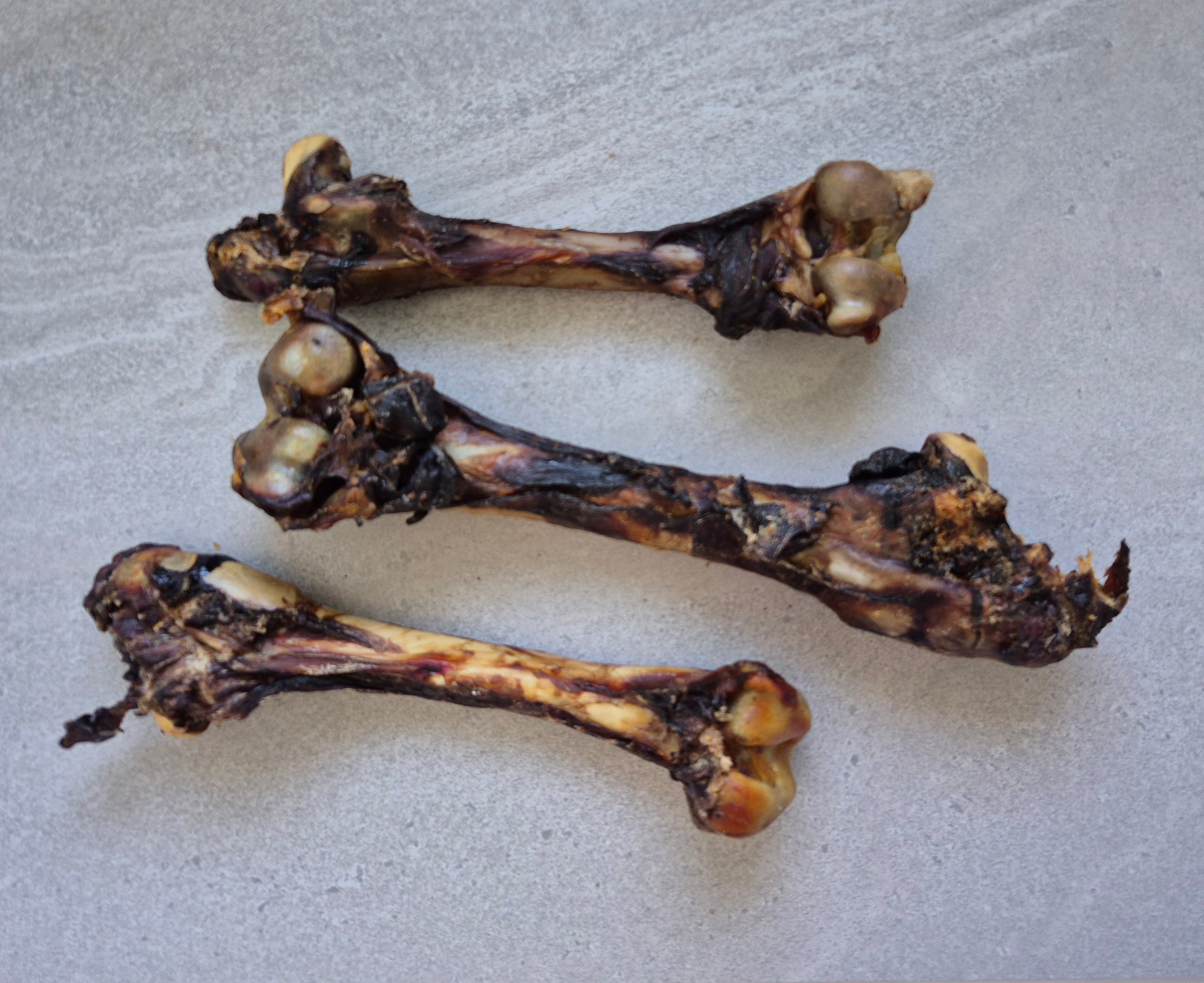 Kangaroo Leg Bone