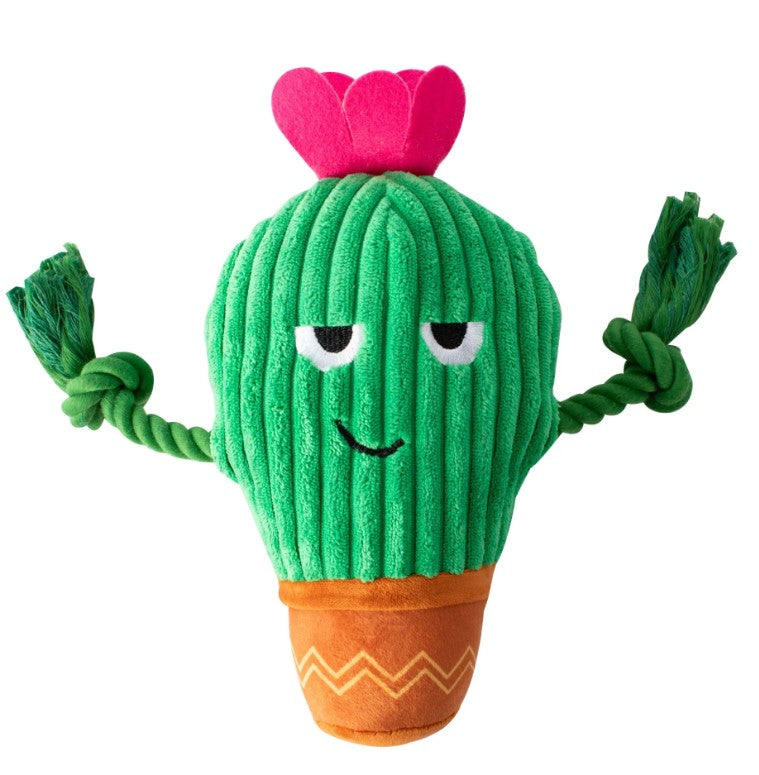 Fringe You Grow Chica Cactus