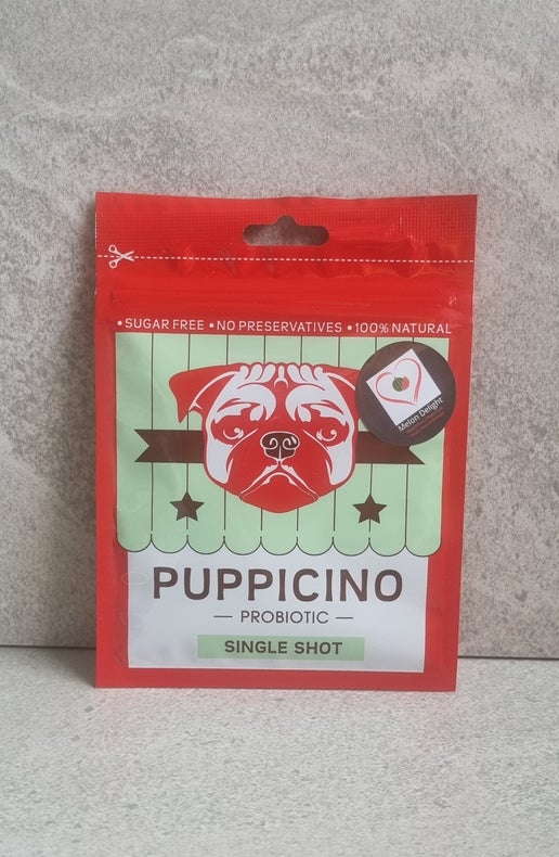 L'Barkery Puppicino Melon Delight