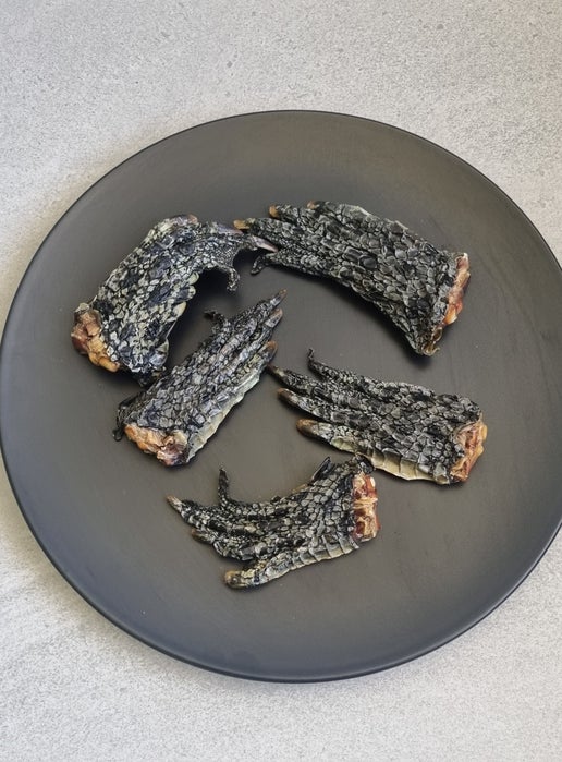 Crocodile Feet