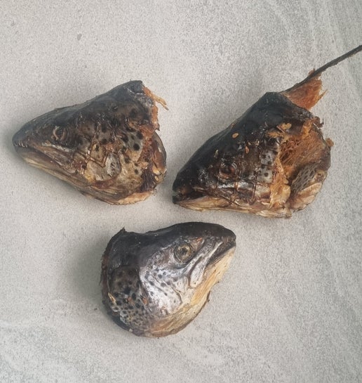 Salmon Head