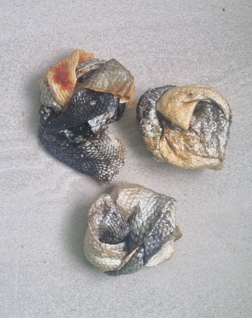 Salmon Knots