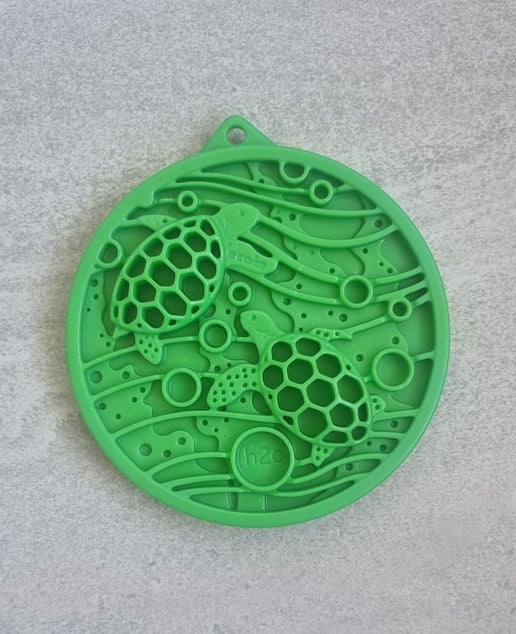 Turtle Ecoin