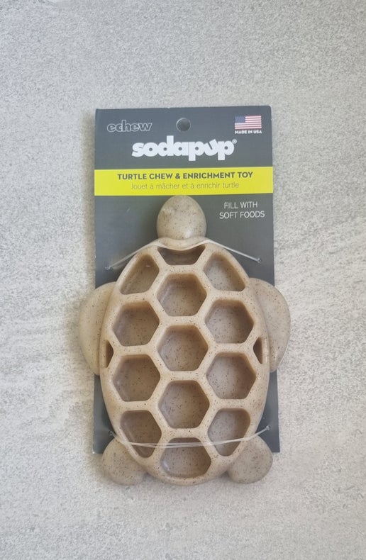 Sodapup Turtle