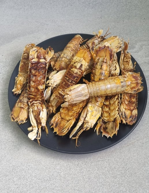 Mantis Shrimp