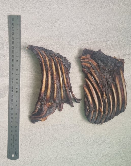 Kangaroo Ribs