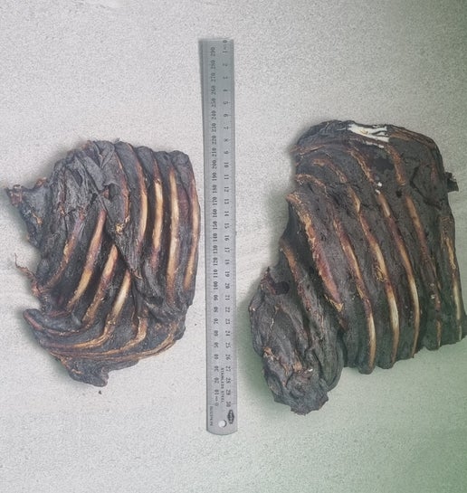 Kangaroo Ribs