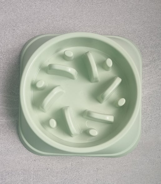 Slow Feeder Bowl