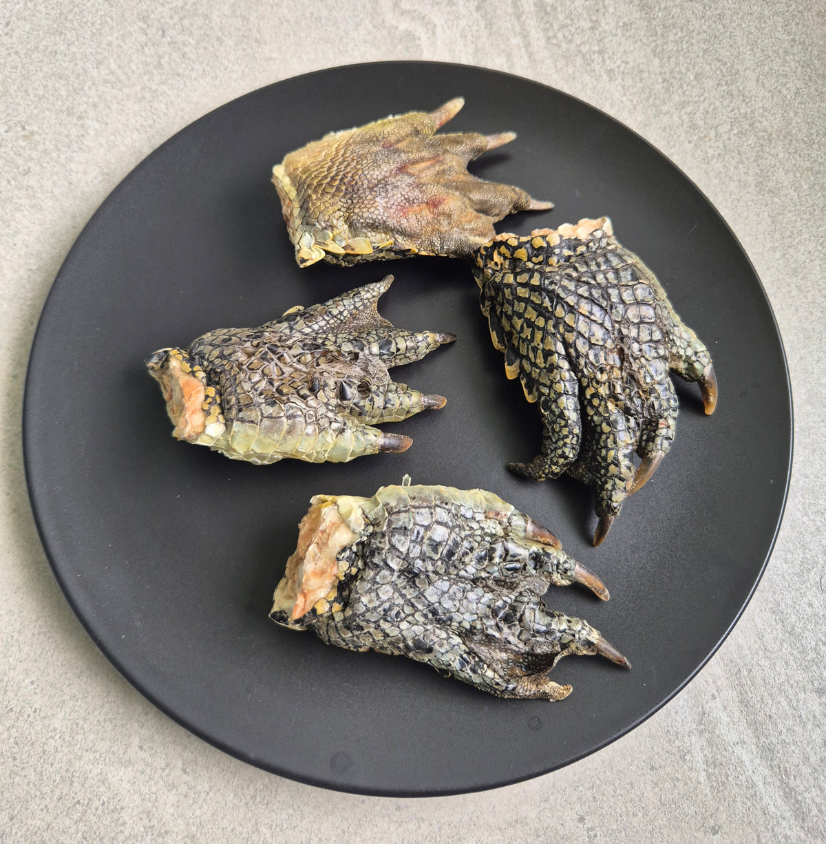 Freeze Dried Crocodile Feet