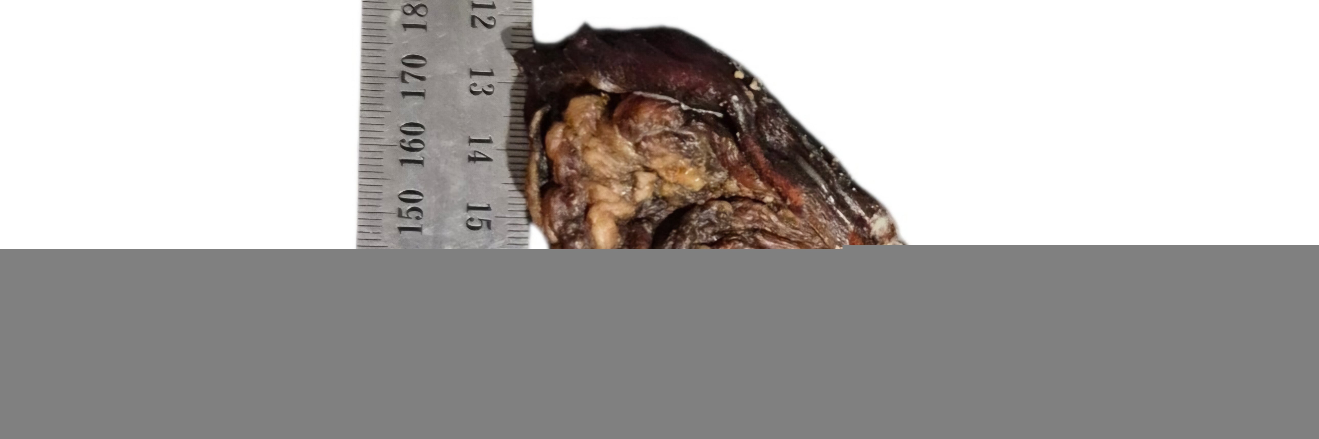 Beef Ear Scroll