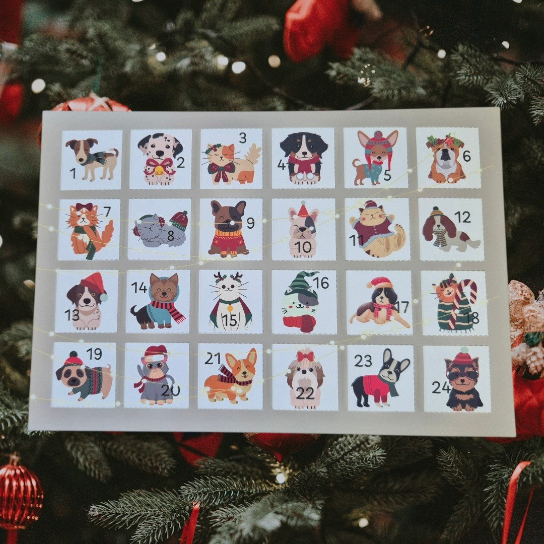 Christmas Advent Calendar